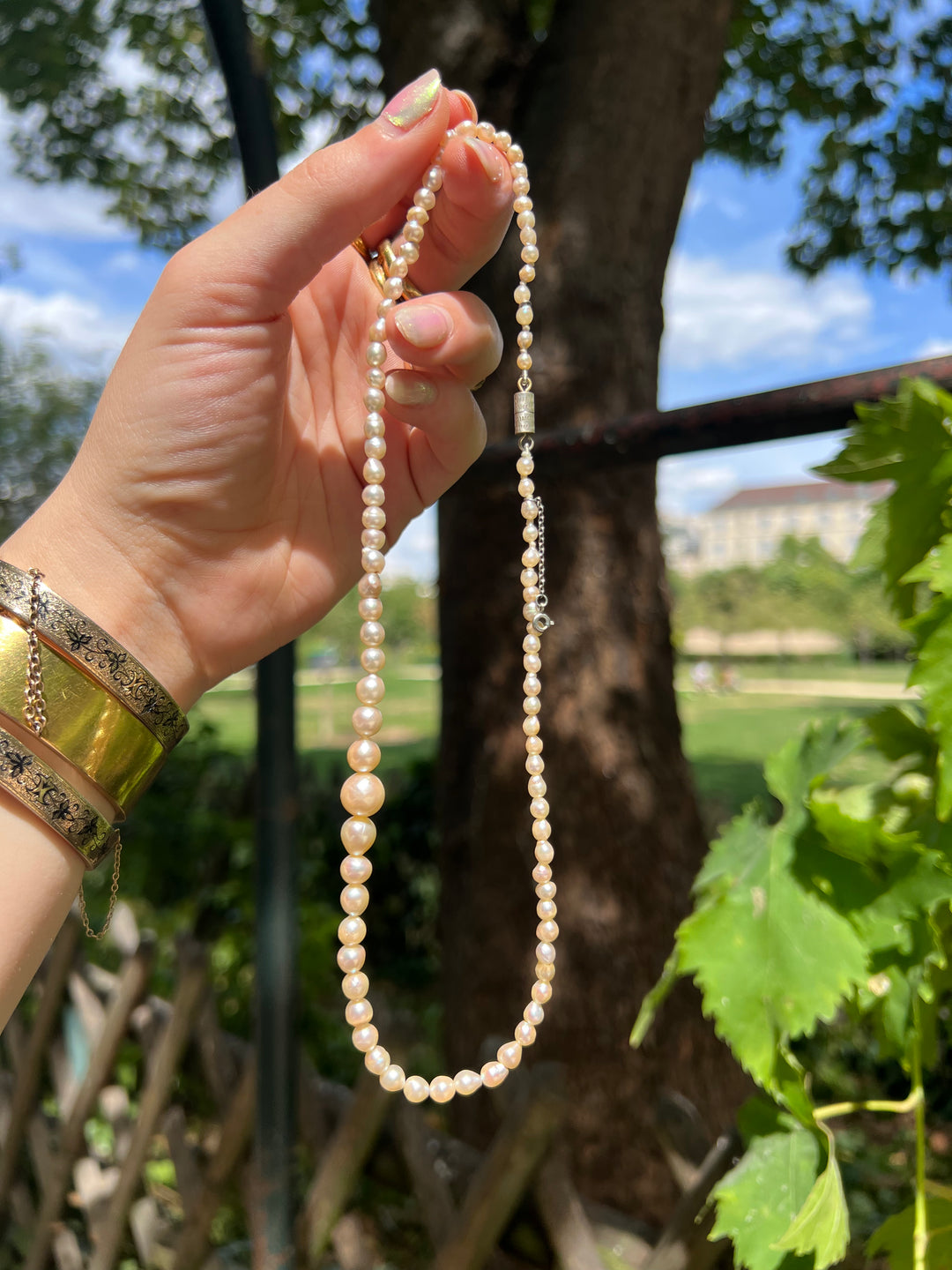 Rare Early 20th C Natural Fresh Water Graduated Pearl Strand