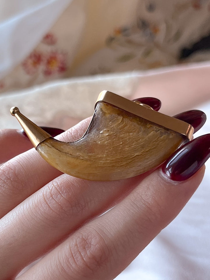 Victorian Tiger Claw Pendant Capped in 14ct