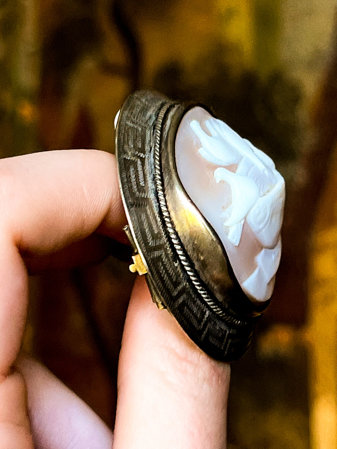 Large Scale Victorian Cameo Brooch Featuring Pliny's Doves