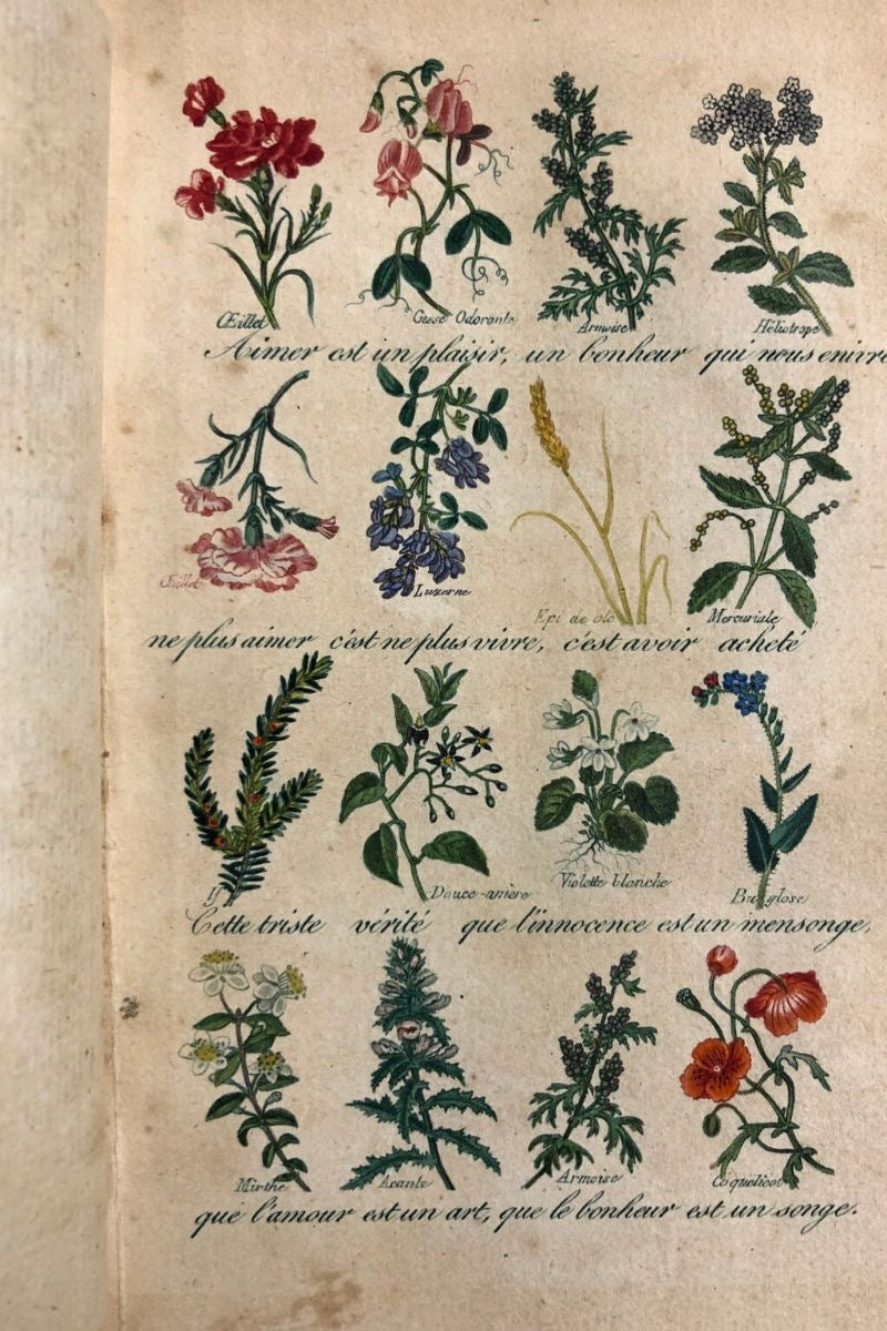 Mid 19th Century Language of Flowers Brooch