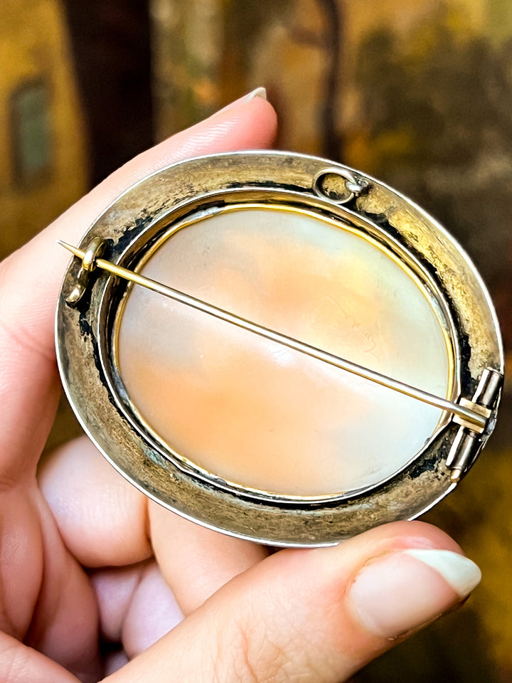 Large Scale Victorian Cameo Brooch Featuring Pliny's Doves