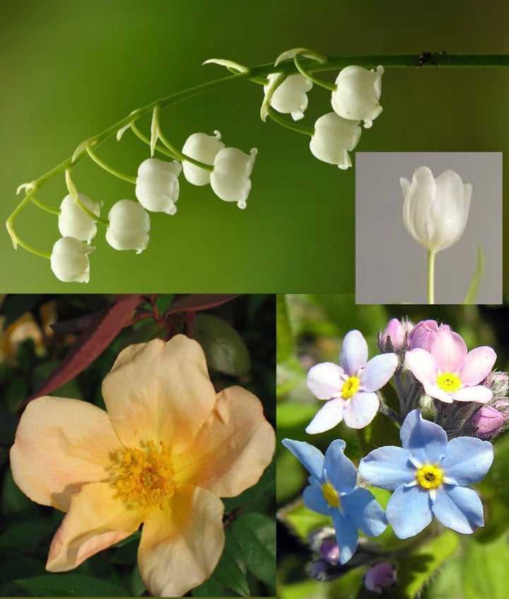 French Onyx Diamond Pearl Sentimental Locket