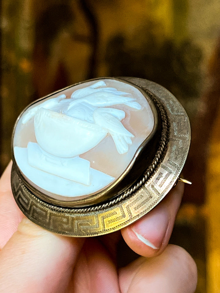 Large Scale Victorian Cameo Brooch Featuring Pliny's Doves