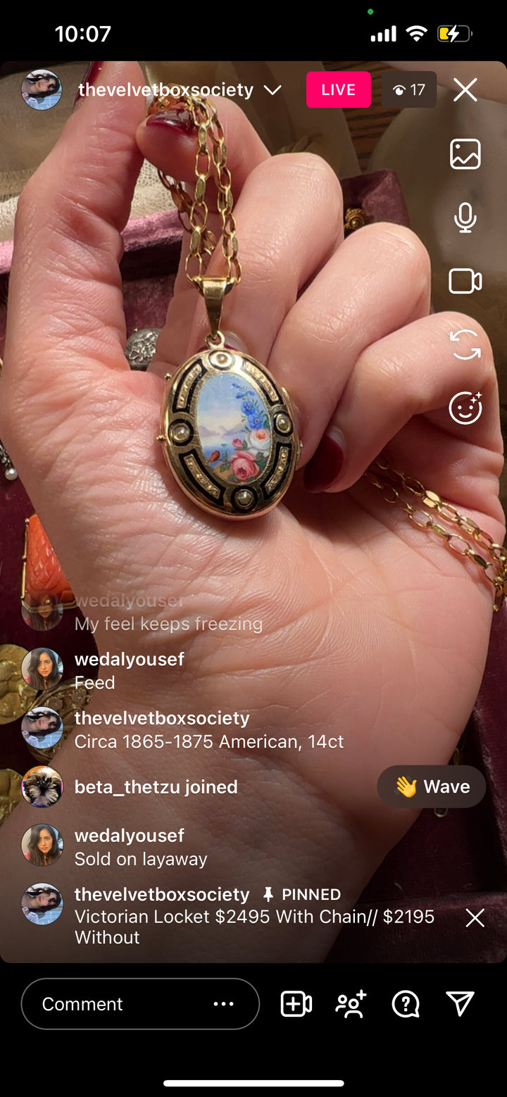 Outstanding Victorian Enamel Locket of Floral Vista