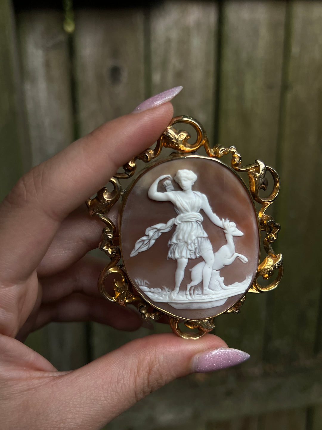 Cameo Brooch of Diana and Acteon In 12ct Baroque Frame