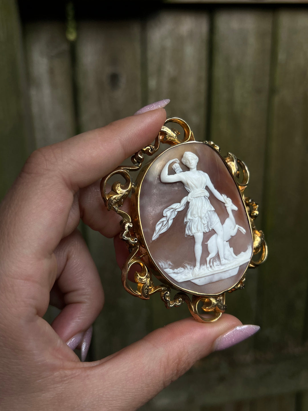 Cameo Brooch of Diana and Acteon In 12ct Baroque Frame