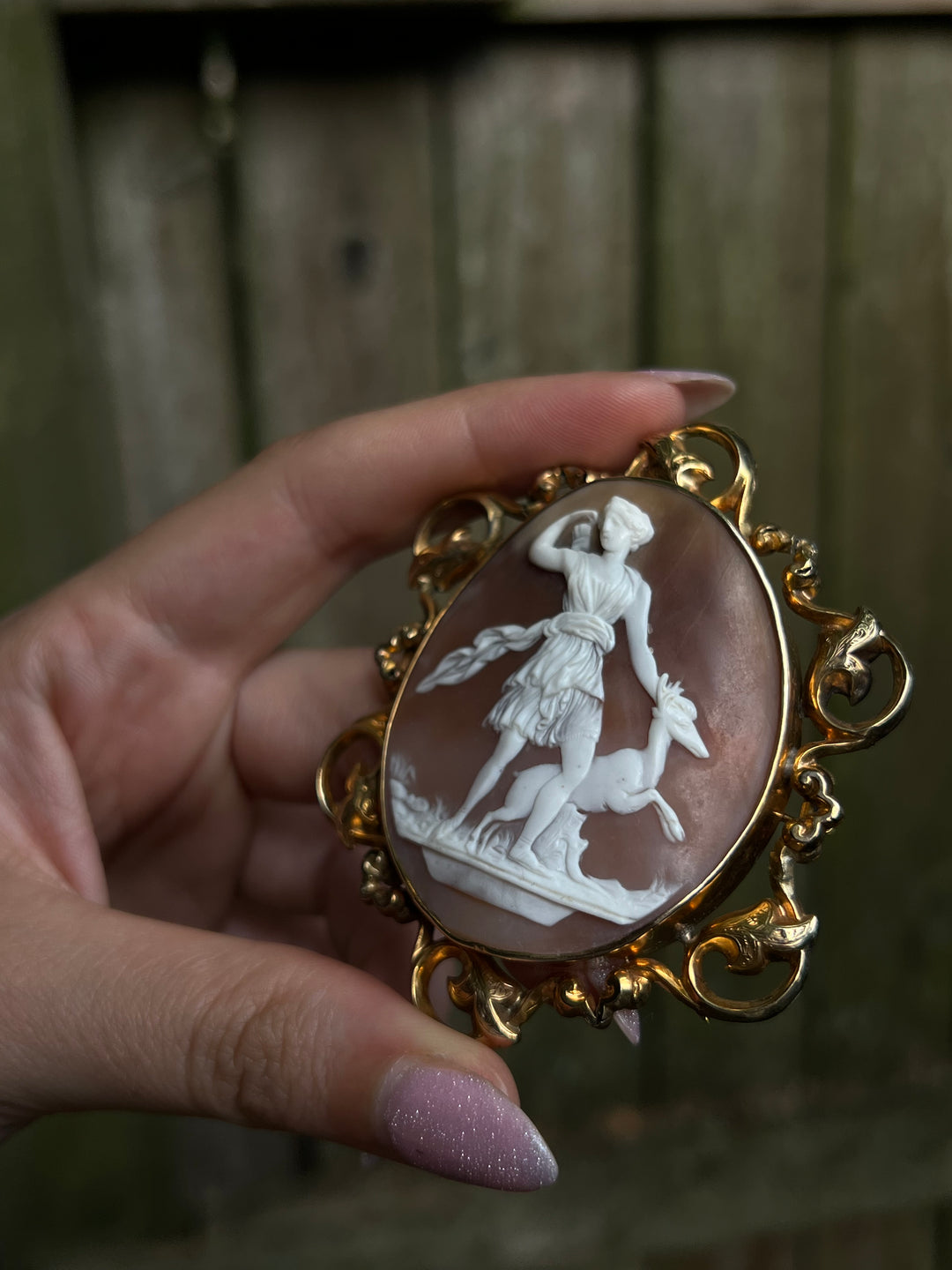 Cameo Brooch of Diana and Acteon In 12ct Baroque Frame