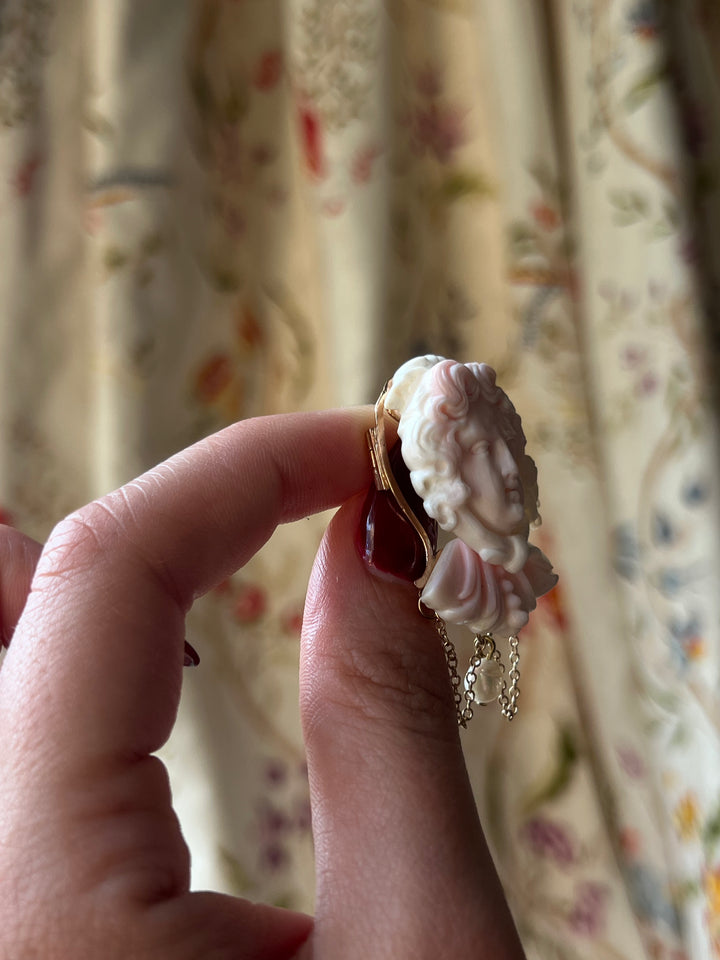 Exceptional 19th Century Cameo of Medusa in Coral