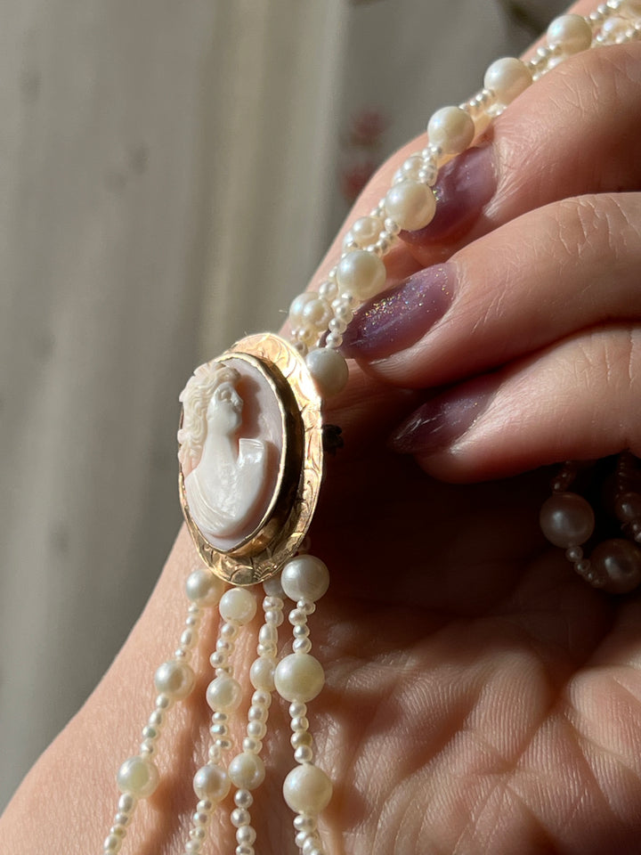 Victorian Pink Conch Shell Cameo Brooch in 14ct