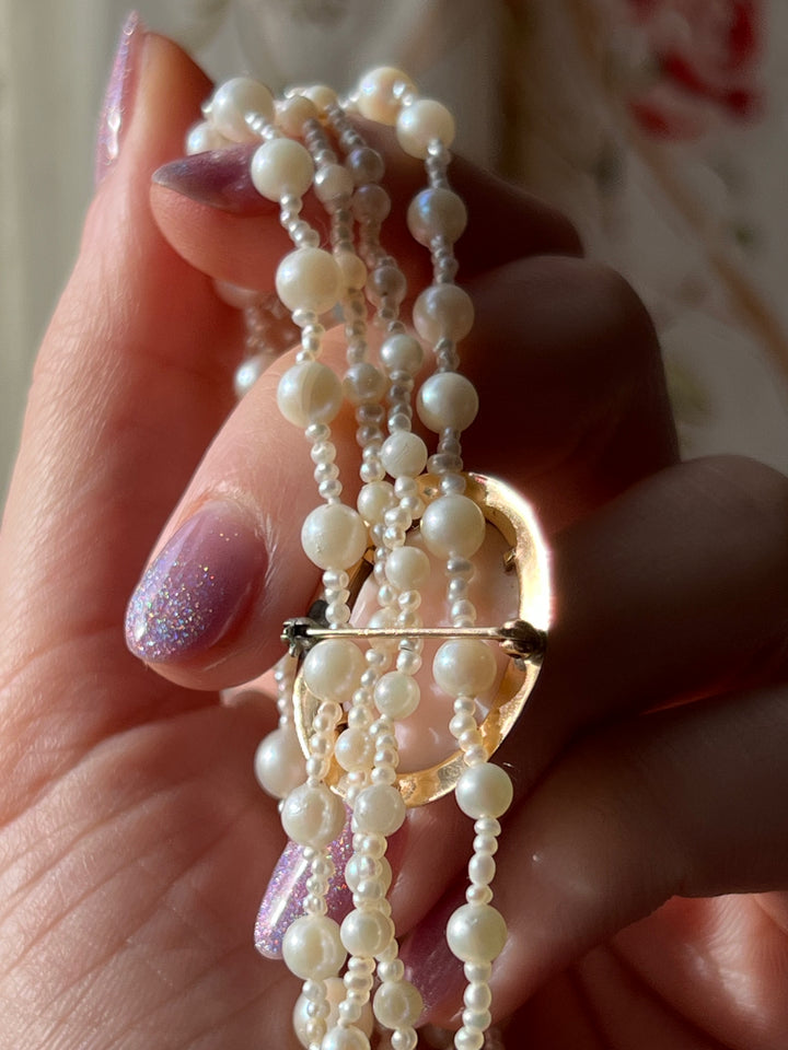 Victorian Pink Conch Shell Cameo Brooch in 14ct