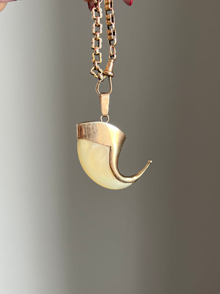 A Rare Victorian Tiger Claw in 14ct Pink Gold