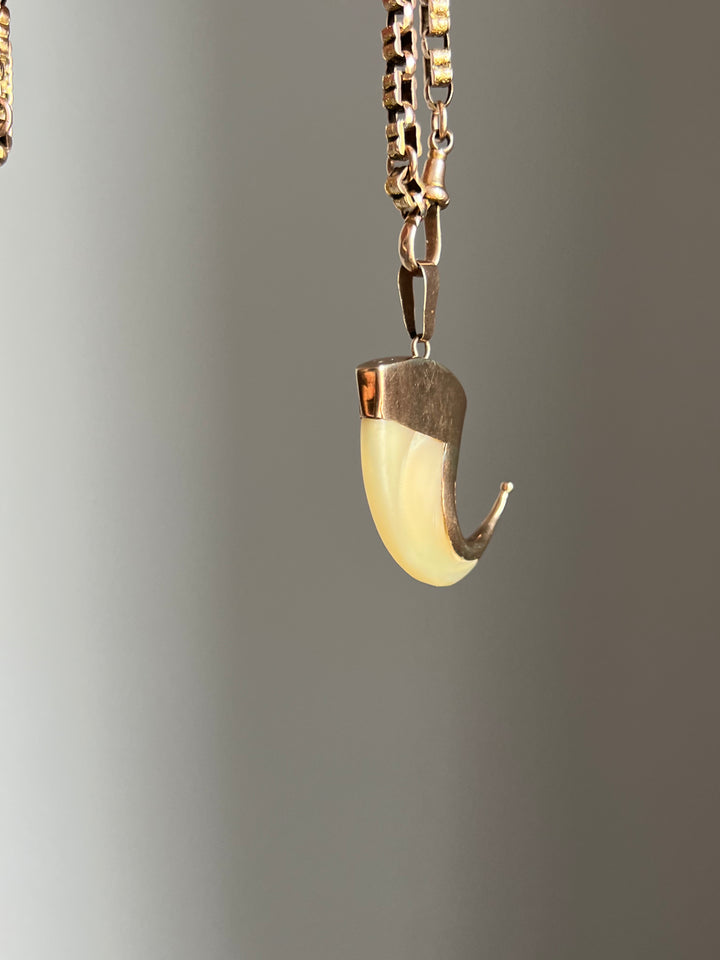 A Rare Victorian Tiger Claw in 14ct Pink Gold