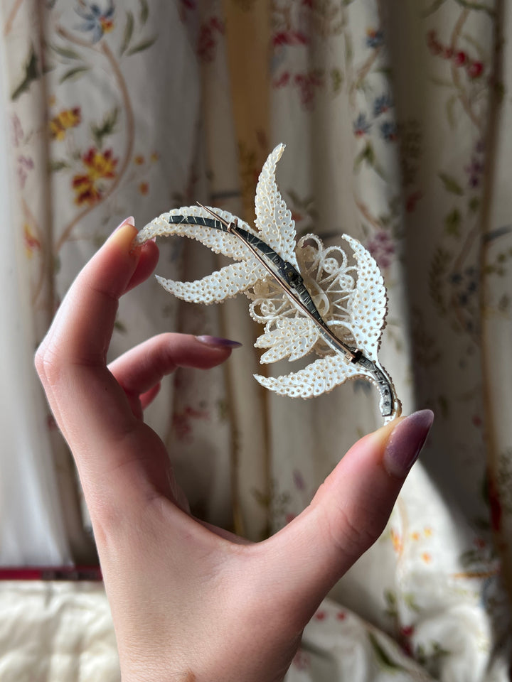 Outstanding Pearl Parure Circa 1810-1820 in Original Box