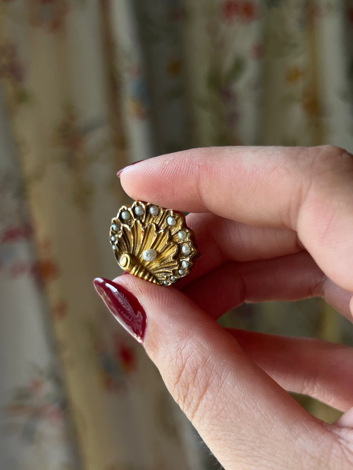 Rare Victorian Pearl Novelty Brooch As Scallop Shell