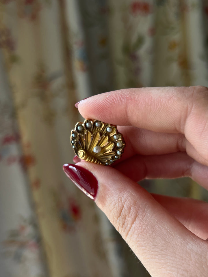 Rare Victorian Pearl Novelty Brooch As Scallop Shell