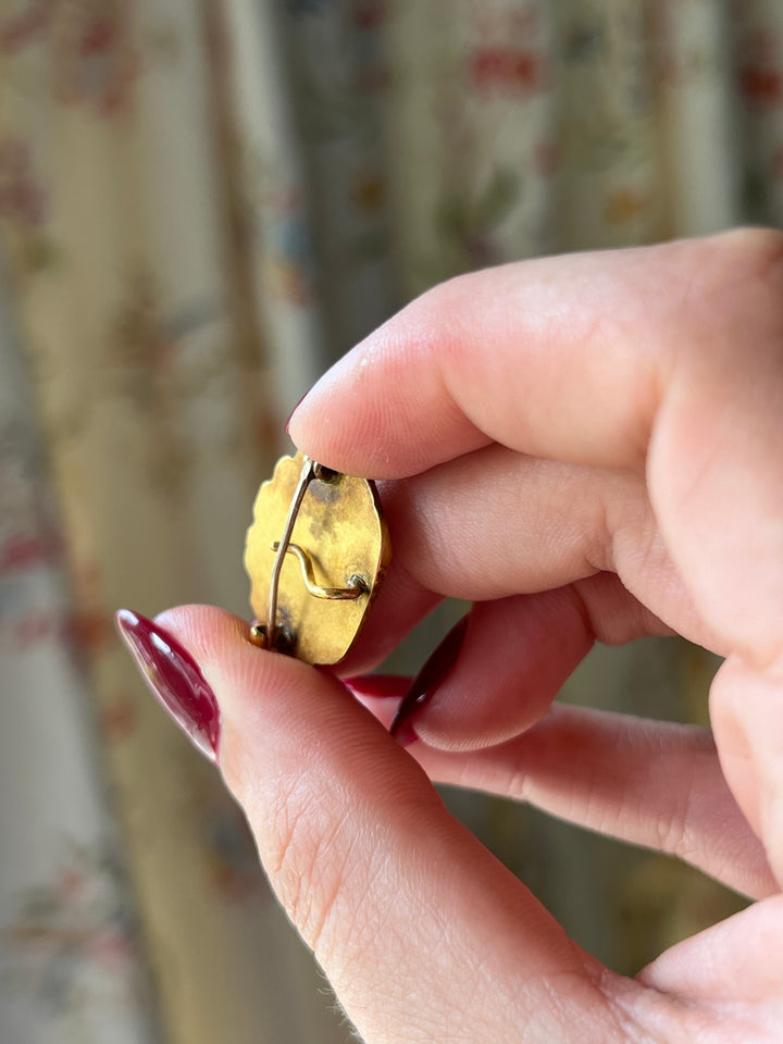Rare Victorian Pearl Novelty Brooch As Scallop Shell