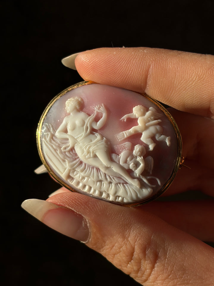 Victorian Pink Conch Cameo Brooch with Venus, Eros and Anteros
