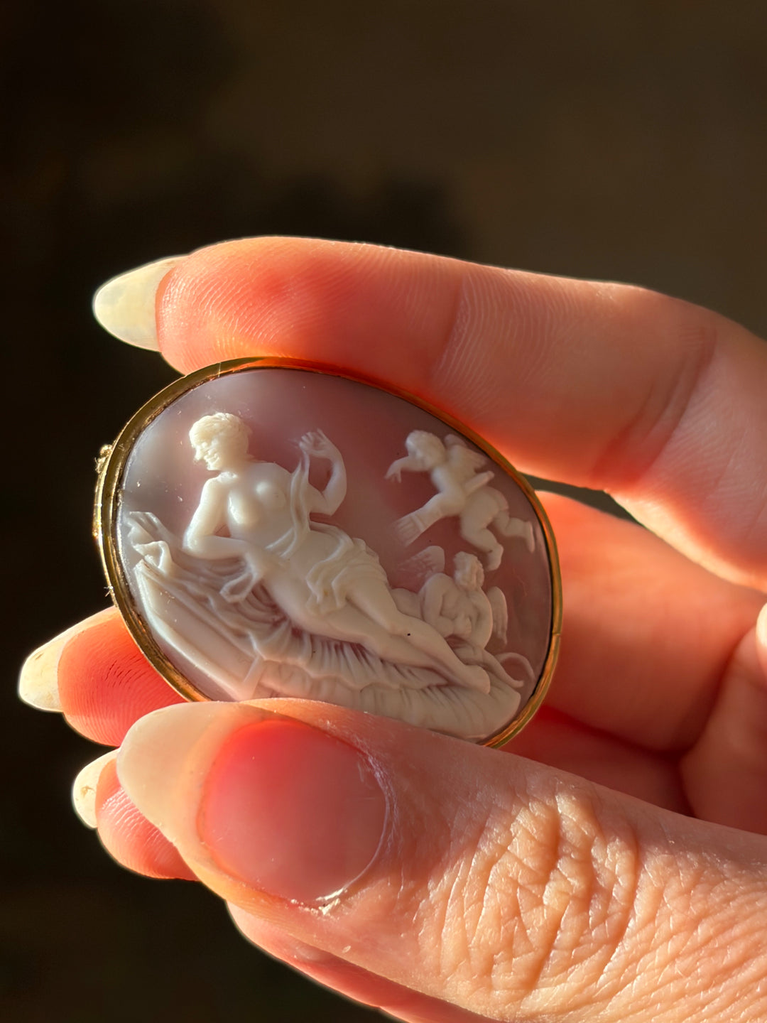 Victorian Pink Conch Cameo Brooch with Venus, Eros and Anteros