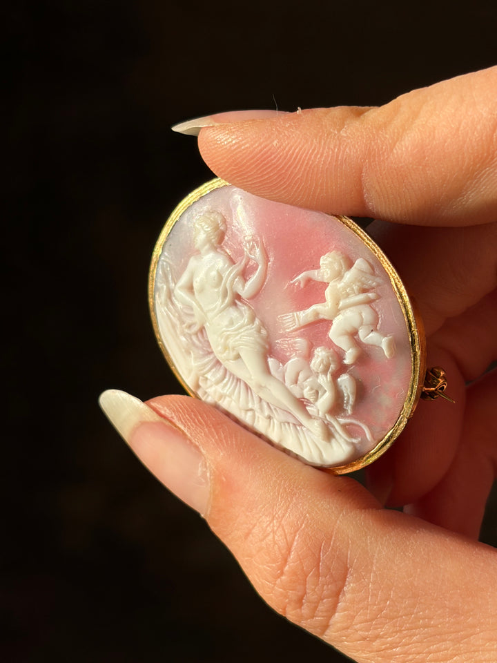 Victorian Pink Conch Cameo Brooch with Venus, Eros and Anteros