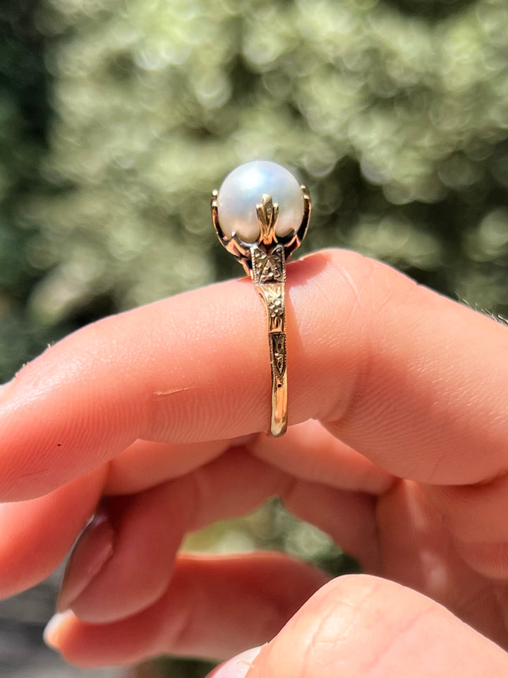 Gorgeous Blue-Grey Pearl In Celebrated High Setting