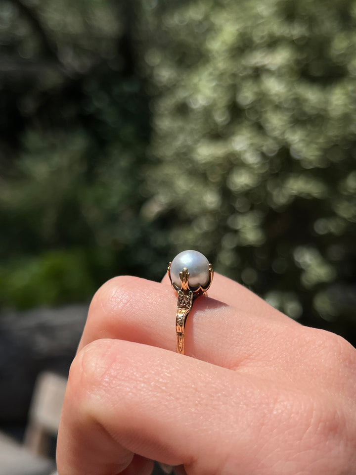 Gorgeous Blue-Grey Pearl In Celebrated High Setting