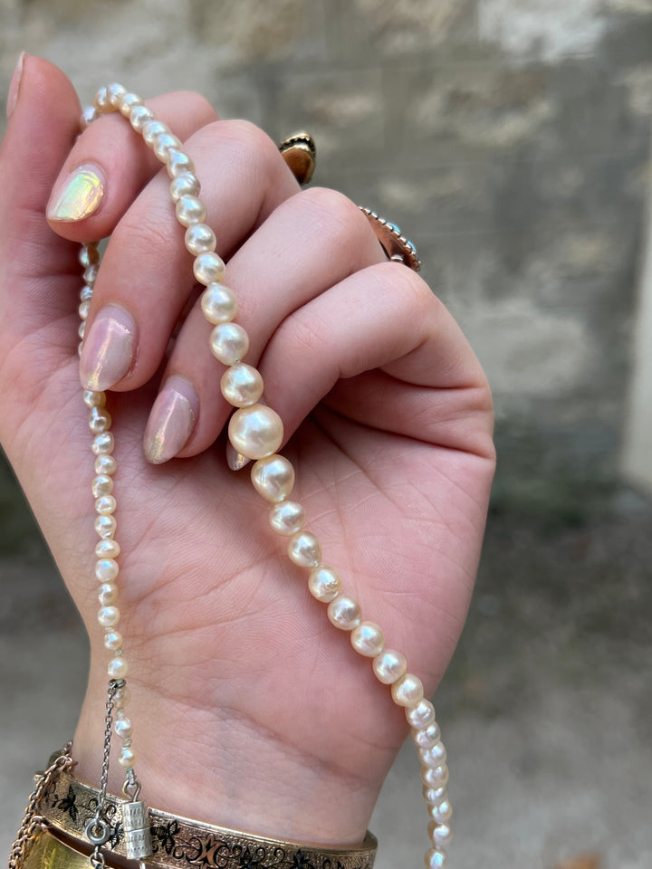 Rare Early 20th C Natural Fresh Water Graduated Pearl Strand