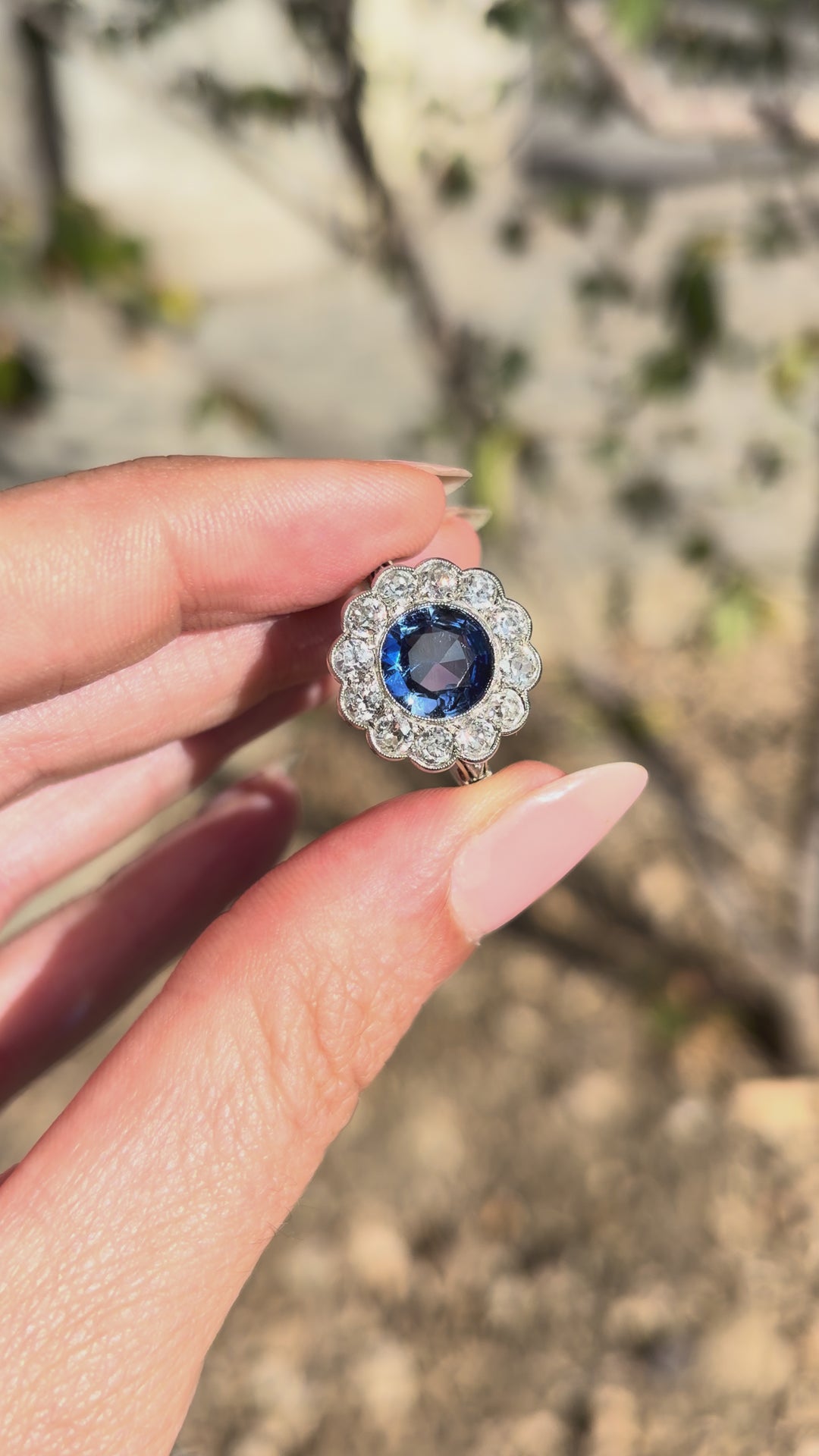 Edwardian Sapphire And Diamond Ring in Platinum