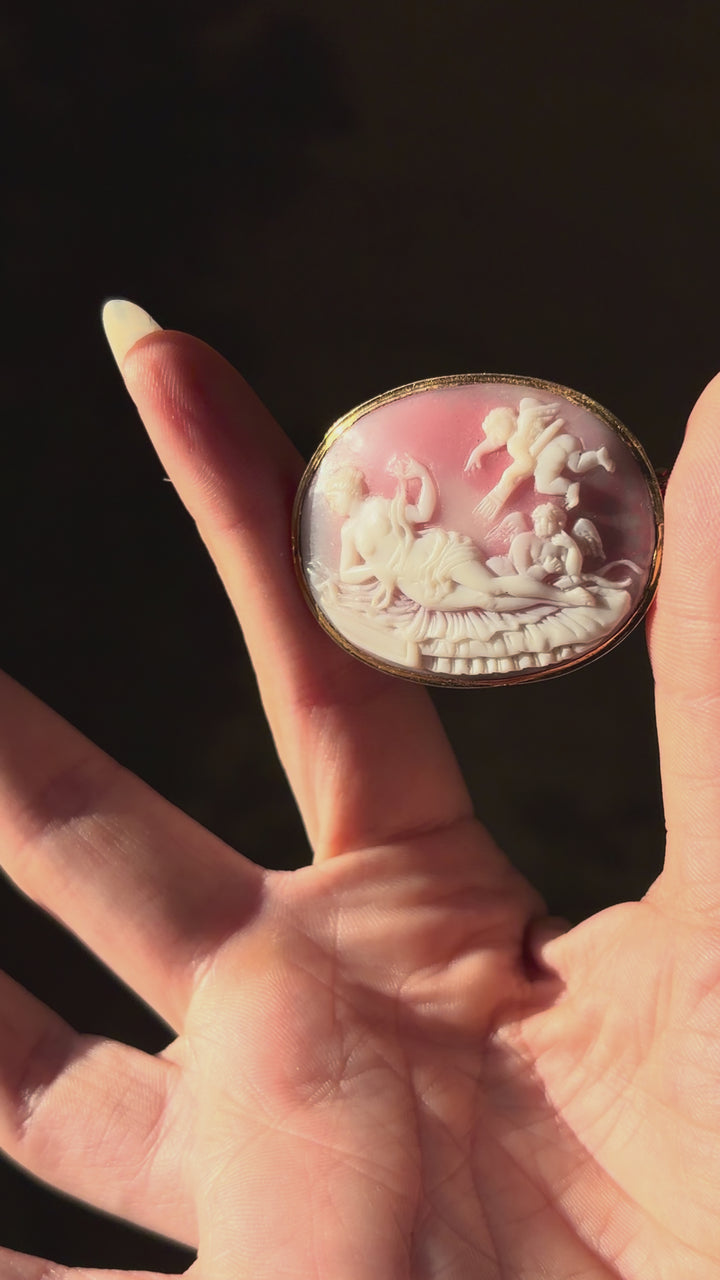 Victorian Pink Conch Cameo Brooch with Venus, Eros and Anteros