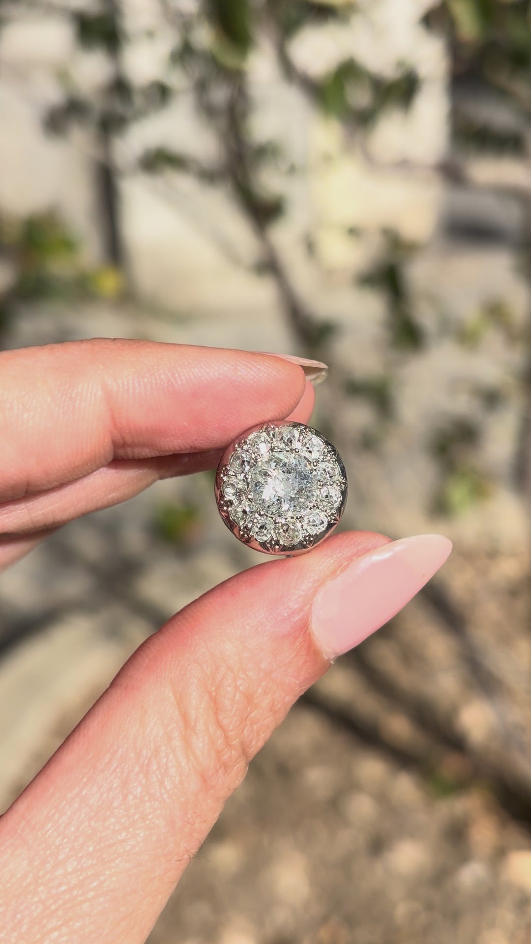 Outstanding Edwardian Platinum + 18ct Diamond Daisy Ring
