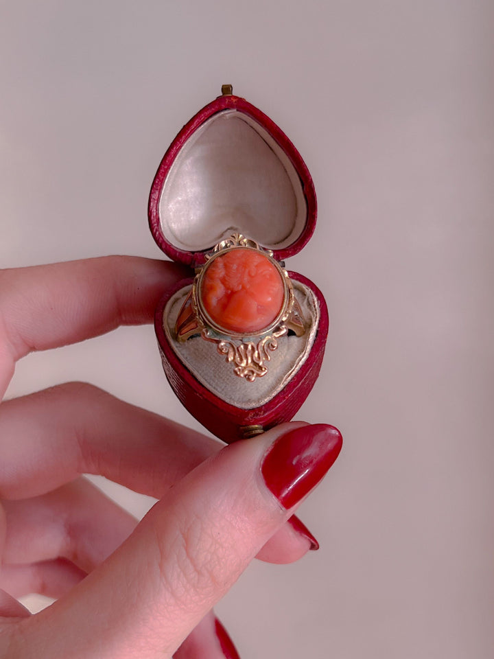 Stunning 1830s Coral Cameo Ring in 12k
