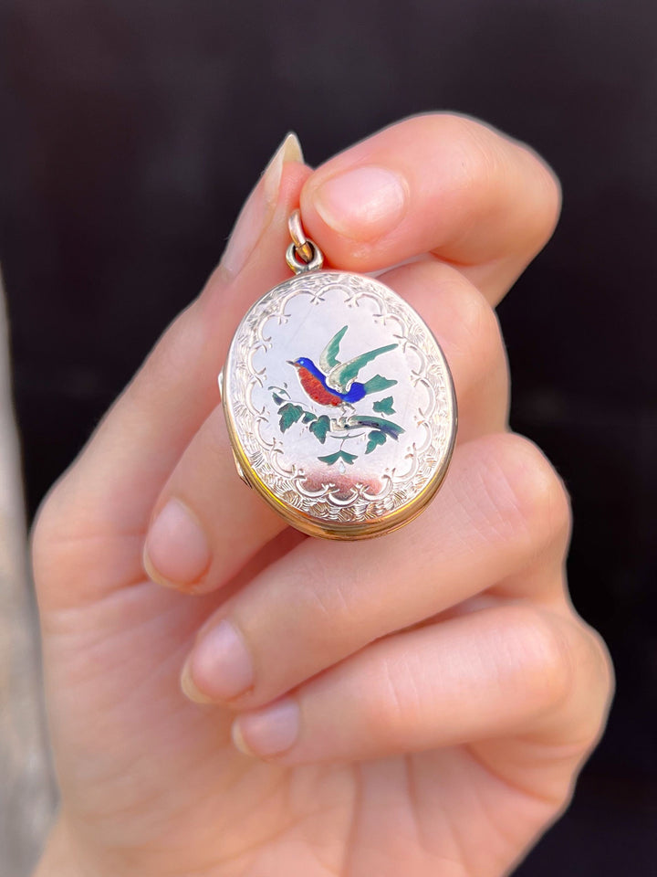 9k Back + Front Robin Locket Circa 1870