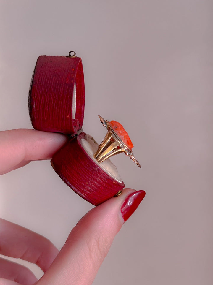 Stunning 1830s Coral Cameo Ring in 12k