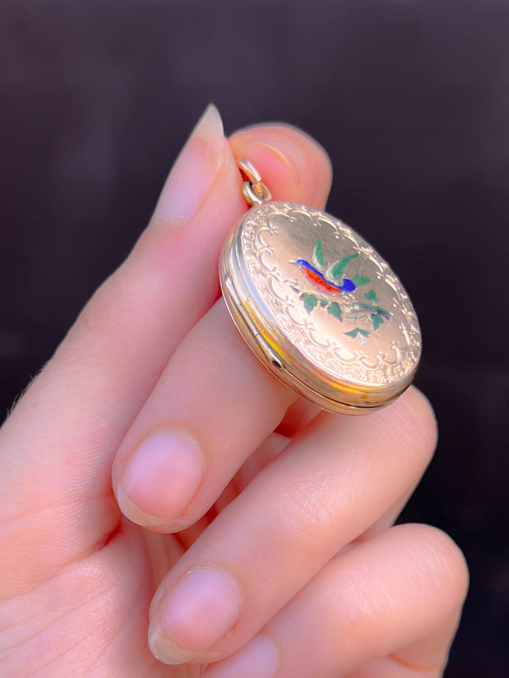 9k Back + Front Robin Locket Circa 1870