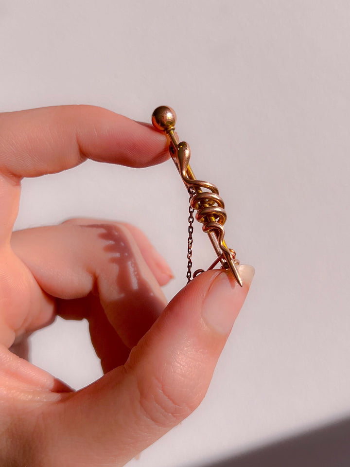 Incredible Snake Brooch Circa 1850