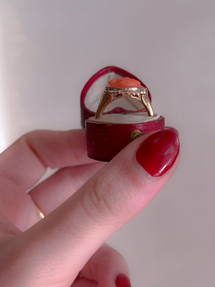 Stunning 1830s Coral Cameo Ring in 12k