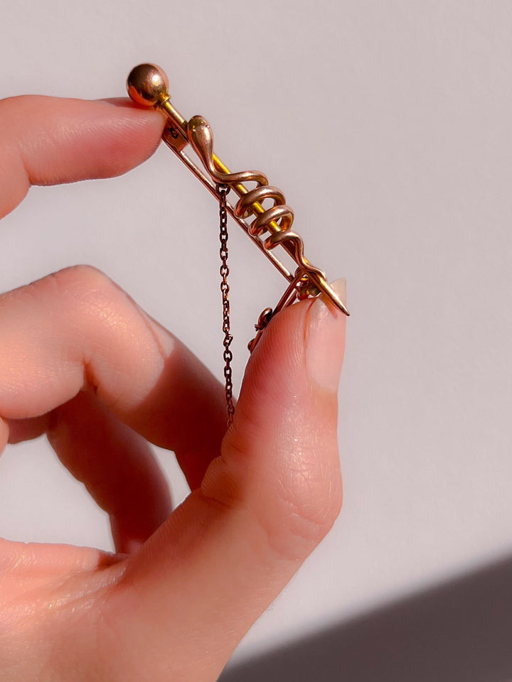 Incredible Snake Brooch Circa 1850