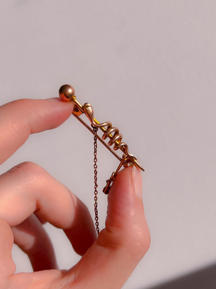 Incredible Snake Brooch Circa 1850