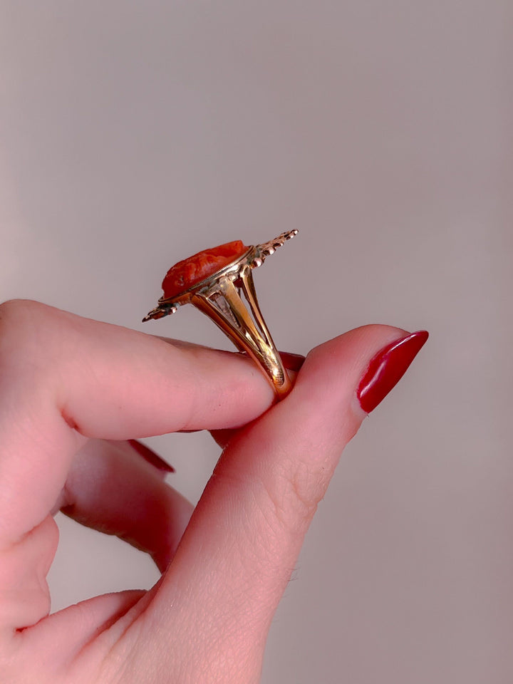 Stunning 1830s Coral Cameo Ring in 12k