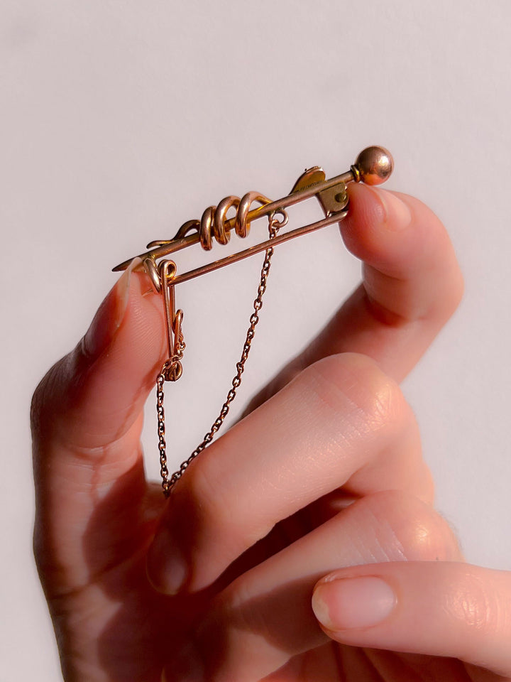 Incredible Snake Brooch Circa 1850