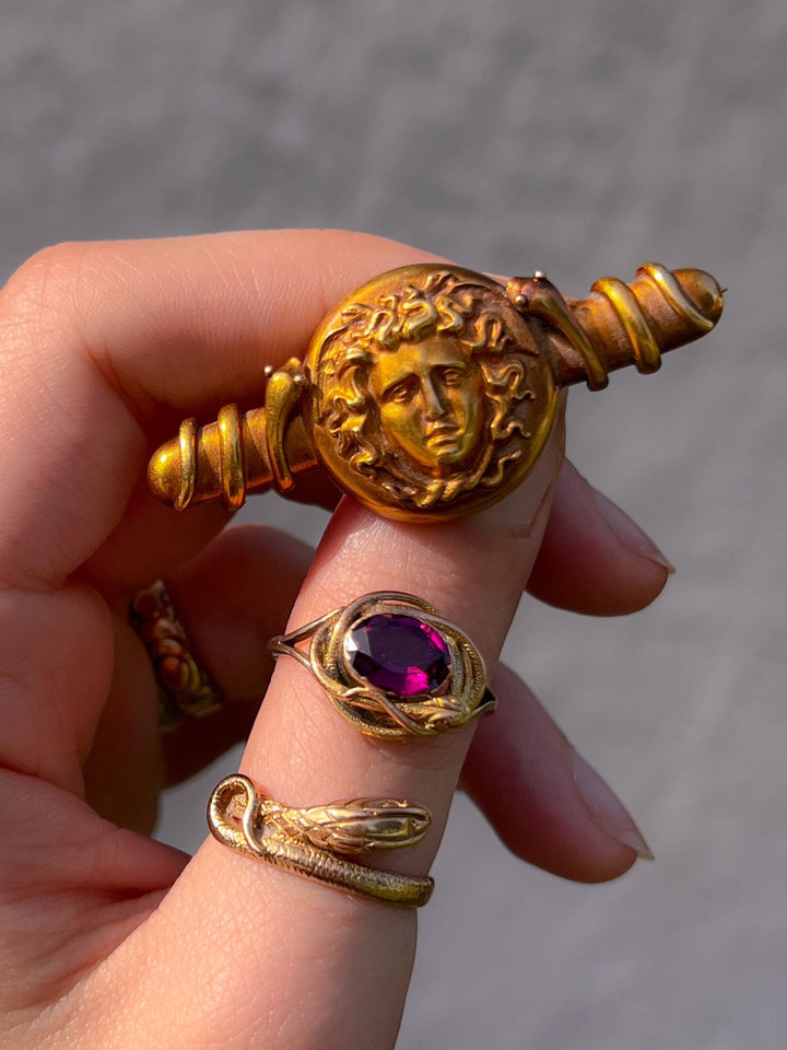 Outrageous Medusa Medallion Brooch