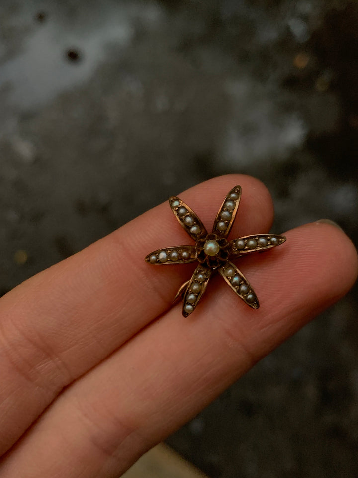 Delightful 10ct American Pearl Flower Brooch Circa 1900, .75”