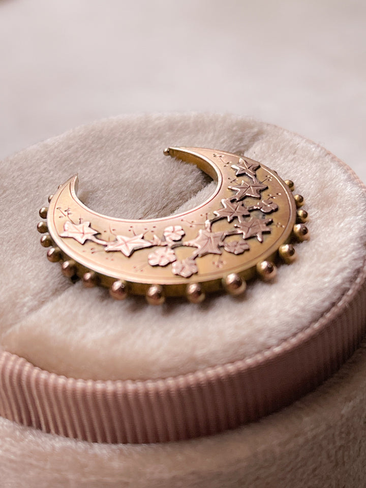 9k Victorian Forget-Me-Not Embellished Crescent Brooch + 9k Victorian Albert Chain