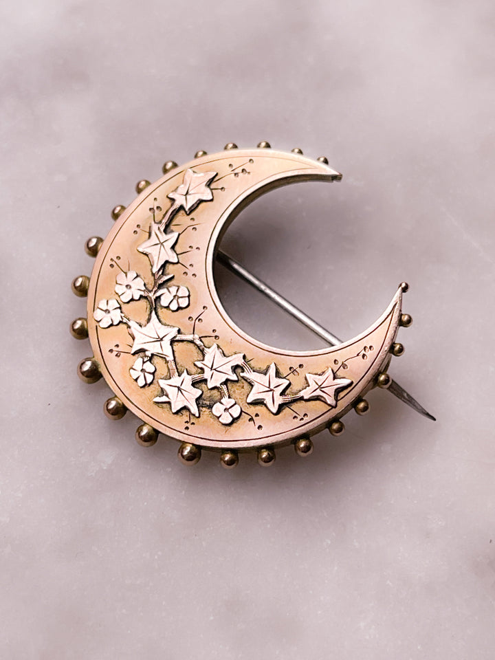 9k Victorian Forget-Me-Not Embellished Crescent Brooch + 9k Victorian Albert Chain