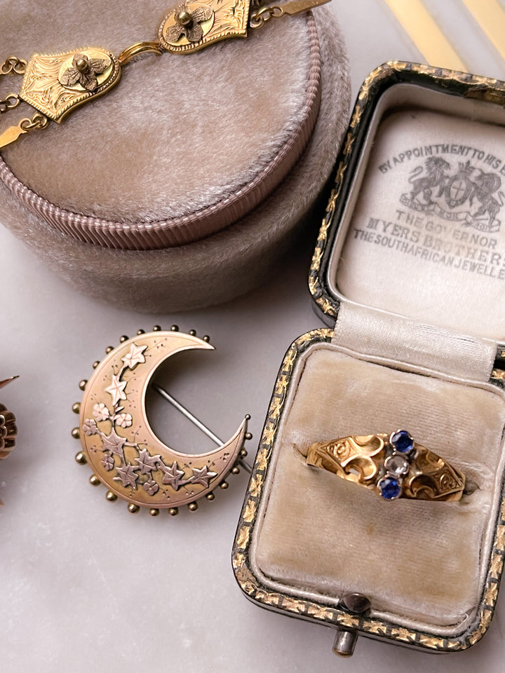 9k Victorian Forget-Me-Not Embellished Crescent Brooch + 9k Victorian Albert Chain