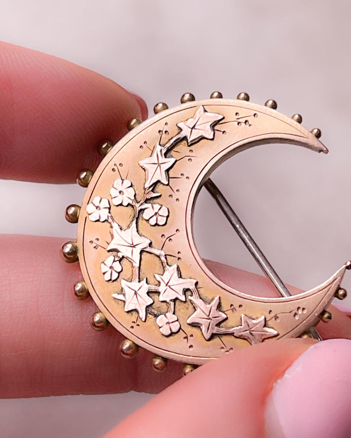 9k Victorian Forget-Me-Not Embellished Crescent Brooch + 9k Victorian Albert Chain