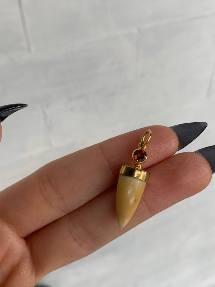 14k Fang with Sapphire Top (Include Ribbon)