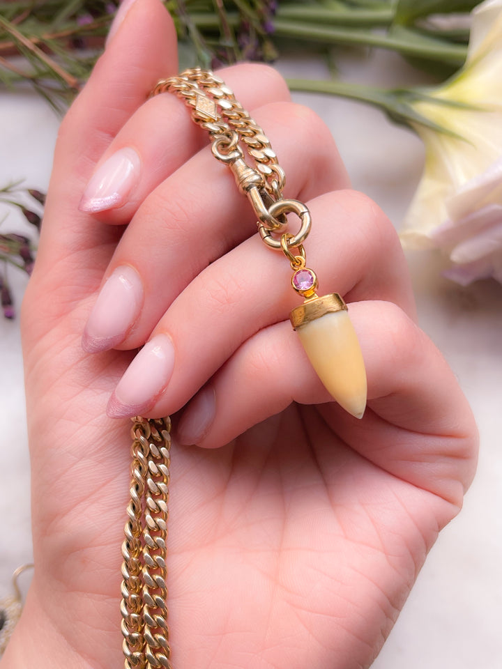 Victorian Tiger Fang with Pink Sapphire Bale Fitting