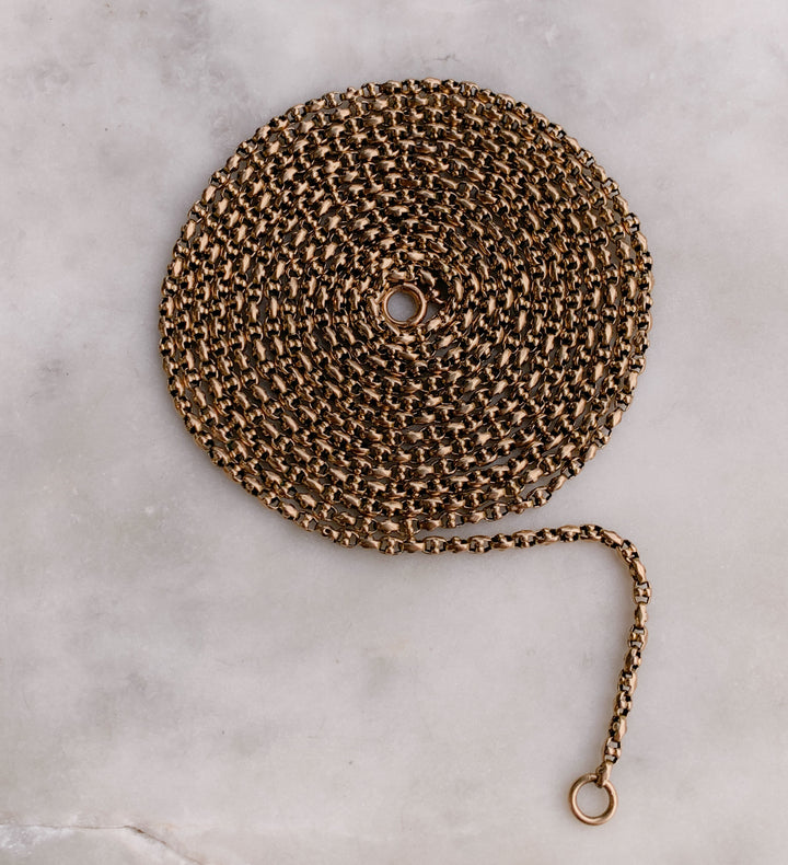 Gorgeous Victorian Long Guard Chain Circa 1880