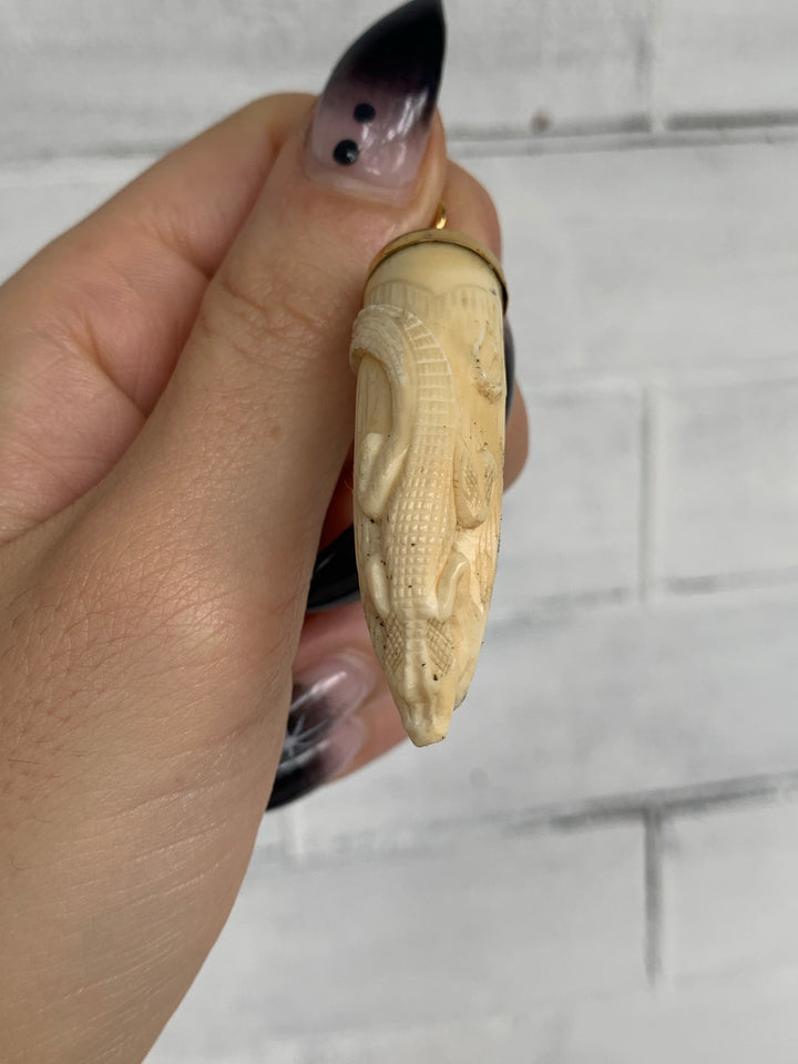 Stunning Crocodile Fang