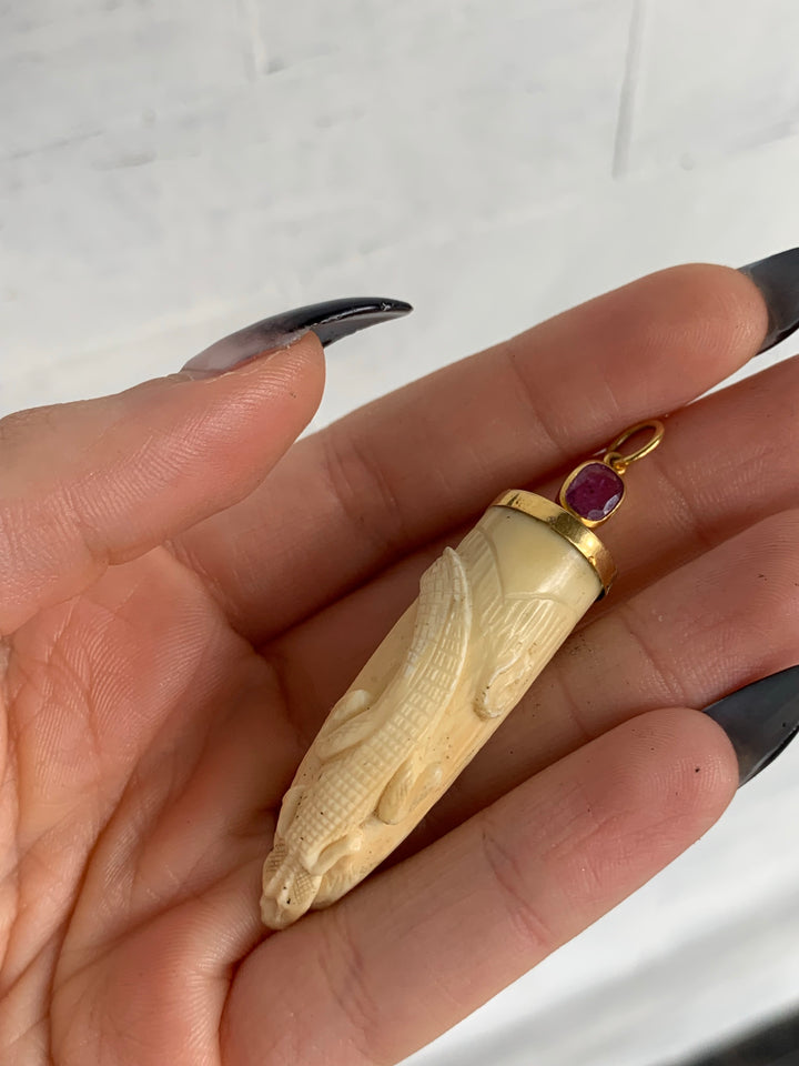 Stunning Crocodile Fang